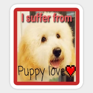 I suffer from puppy love Sticker